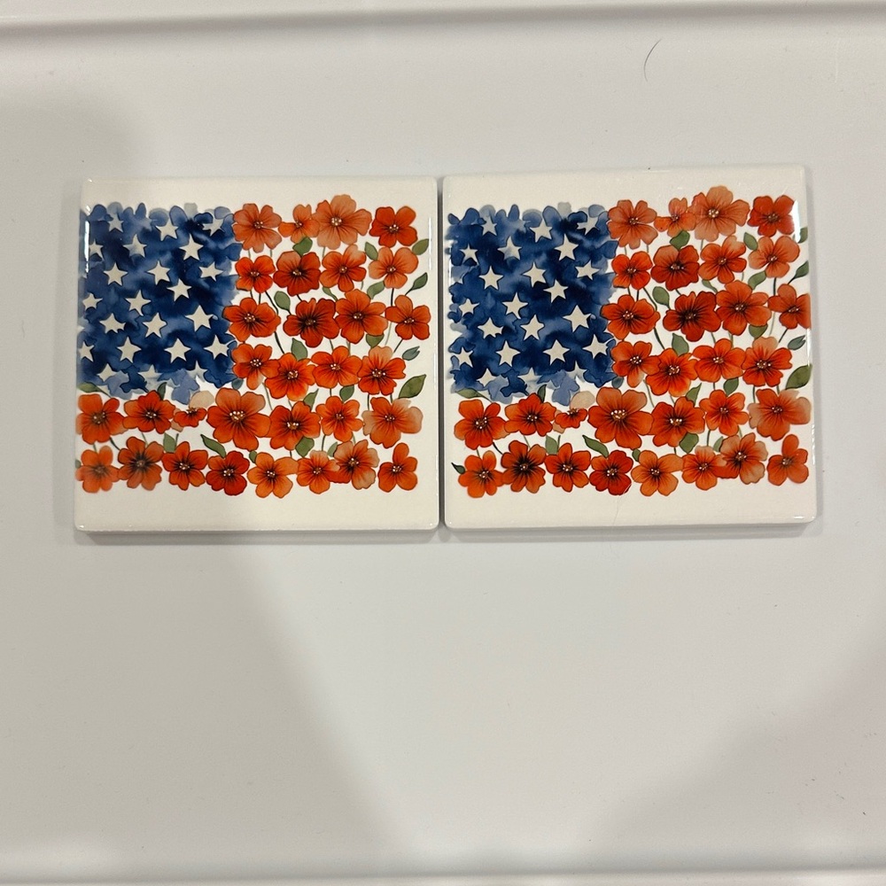 Set of 2 Ceramic Coasters